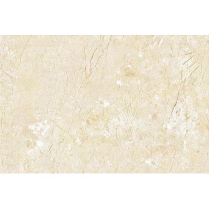 Gạch lát sàn Trường Thịnh MIXSTONE C99813P